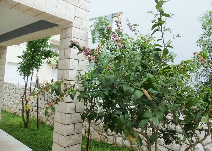 Elena * تروغير